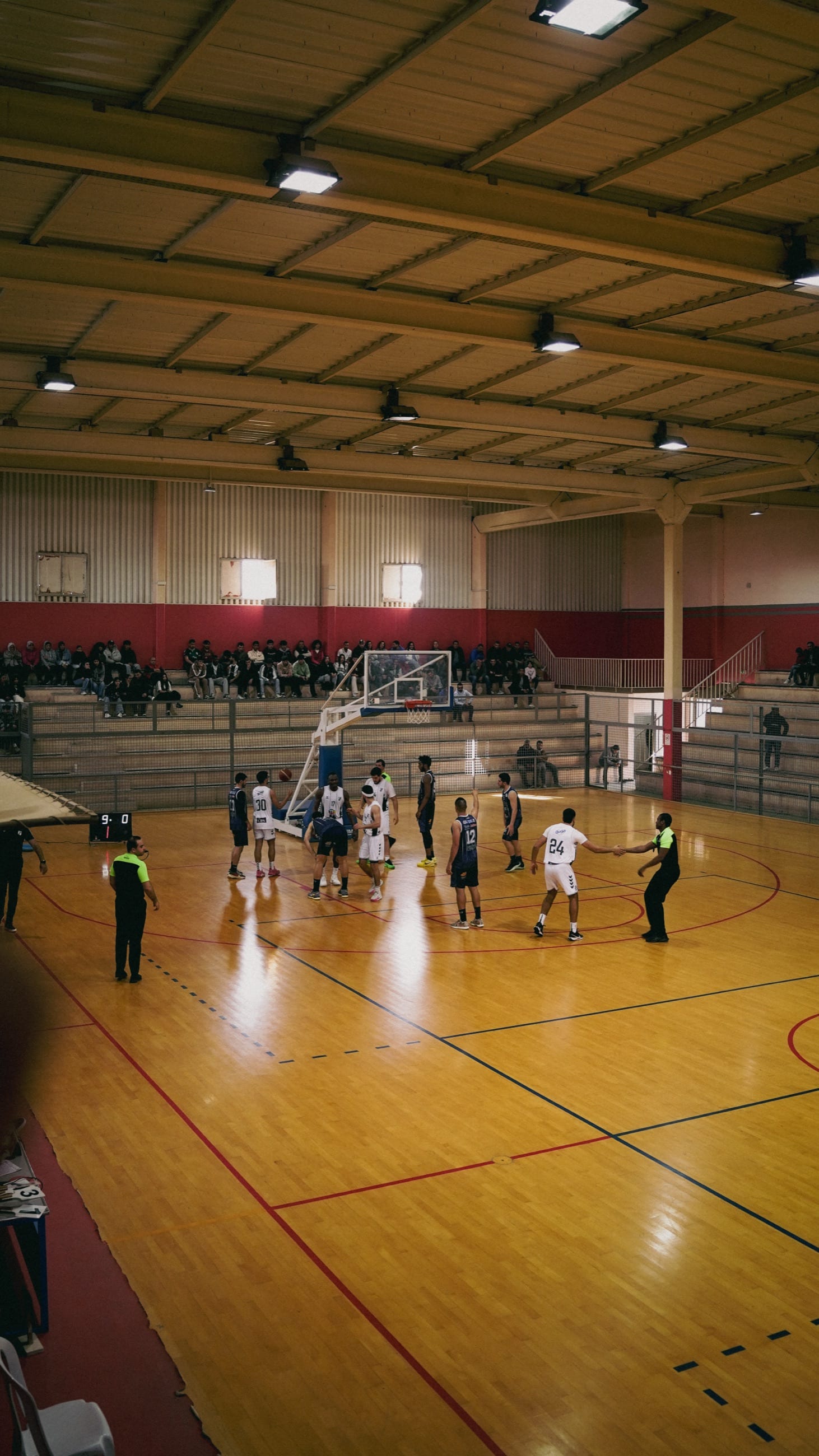 CSS basketball, frame 04
